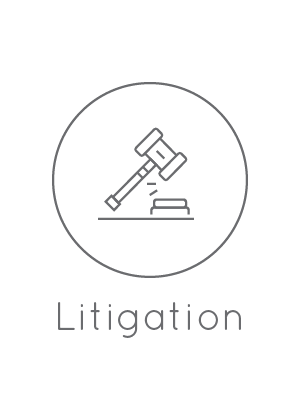 <u>Litigation</u><br/><br/>•Commercial Law<br/><br/>•Administrative Law<br/>